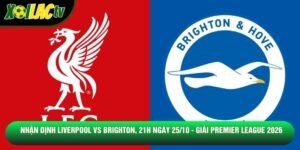 Nhận Định Liverpool Vs Brighton, 21h Ngày 25/10 - Giải Premier League 2026
