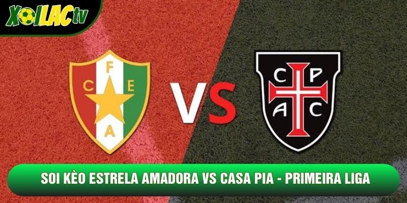 Soi Kèo Estrela Amadora Vs Casa Pia, 21h30 Ngày 24/10 - Primeira Liga